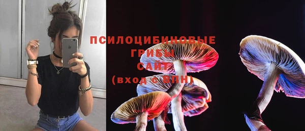 мескалин Балахна