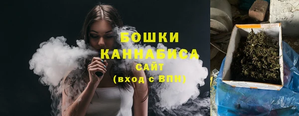 ГАЛЛЮЦИНОГЕННЫЕ ГРИБЫ Балабаново