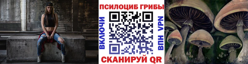 Галлюциногенные грибы ЛСД  наркота  Змеиногорск 